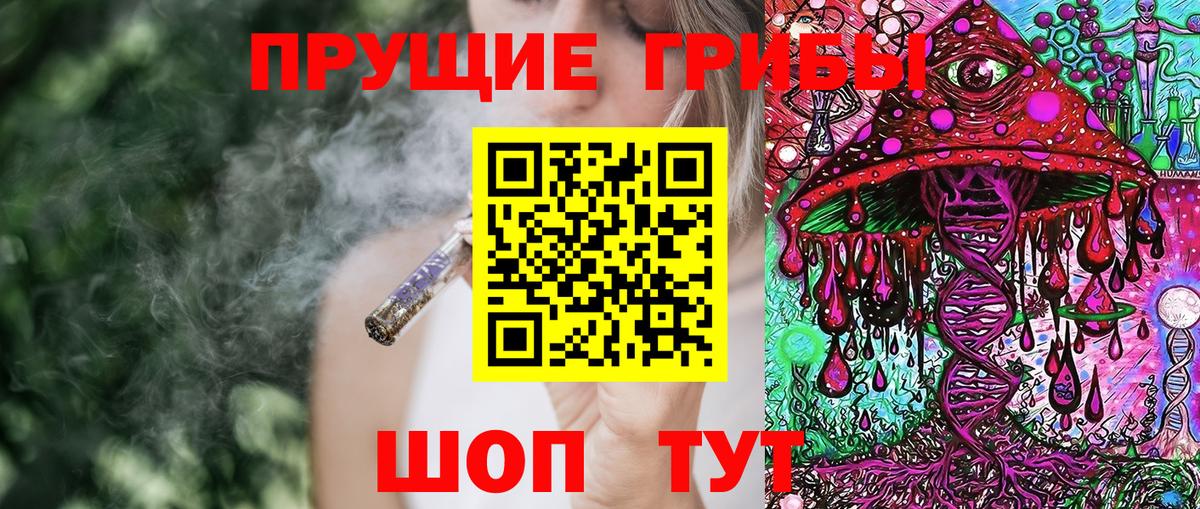 Псилоцибиновые грибы мухоморы Новозыбков